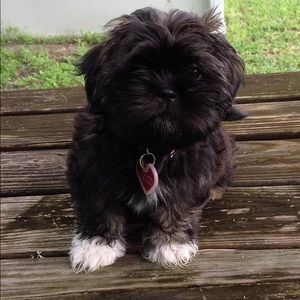 Meet your Posher, Barbara